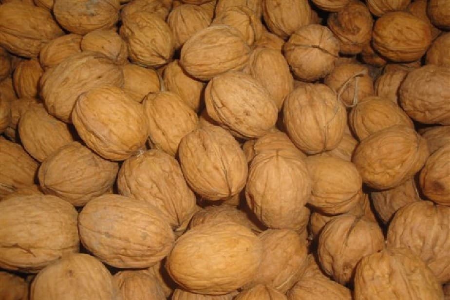 Productores de frutos secos tendrán un centro para agregar valor a su producción