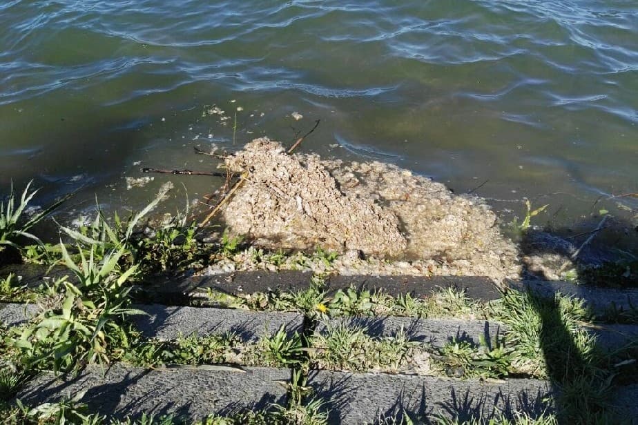 “Es absurdo que el D.P.A siga negando la contaminación del río”