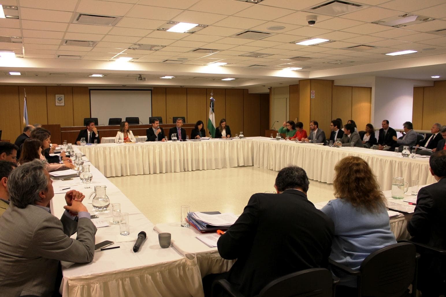 En el Plenario del Consejo de la Magistratura se debatió su regulación y un nuevo proyecto para su reforma