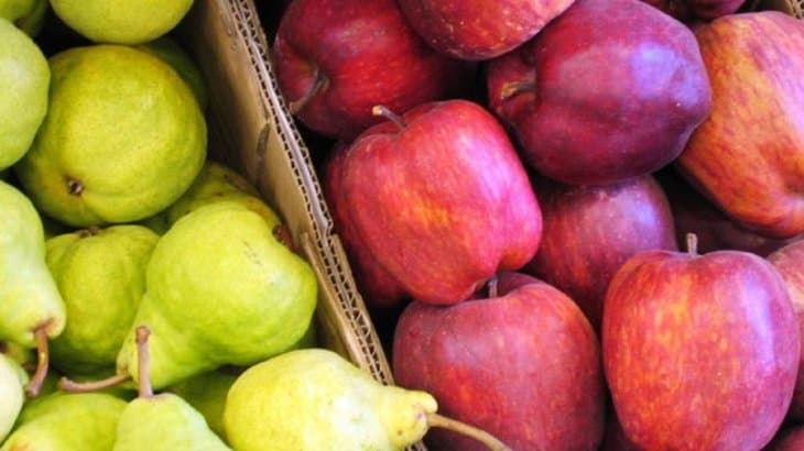 La entrega de frutas y verduras rionegrinas a los comedores escolares se incrementó este año
