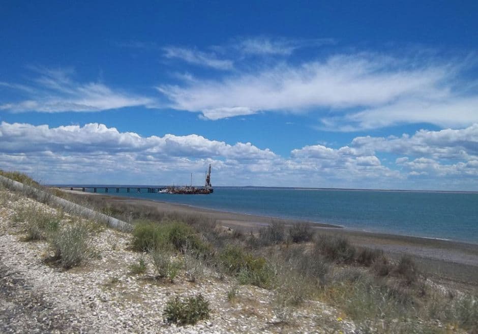 Atropellaron y abandonaron al coordinador de guardias ambientales del Área Natural Protegida Bahía de San Antonio