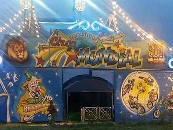 Se le cayó un hierro sobre la espalda durante el show y le provocó traumatismo cervical, denunciaron al dueño del Circo