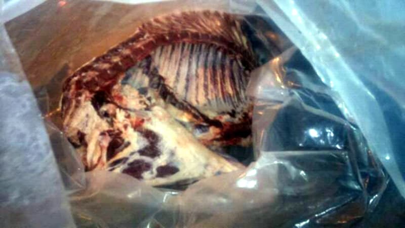 Unos 160 kg de carne vacuna fueron secuestrados en el puesto caminero del IDEVI de Viedma