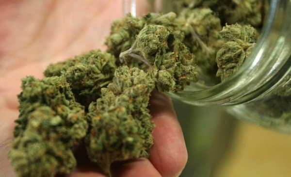 Llevó marihuana a su trabajo, lo despidieron y demandó por calumnias al presidente de la empresa