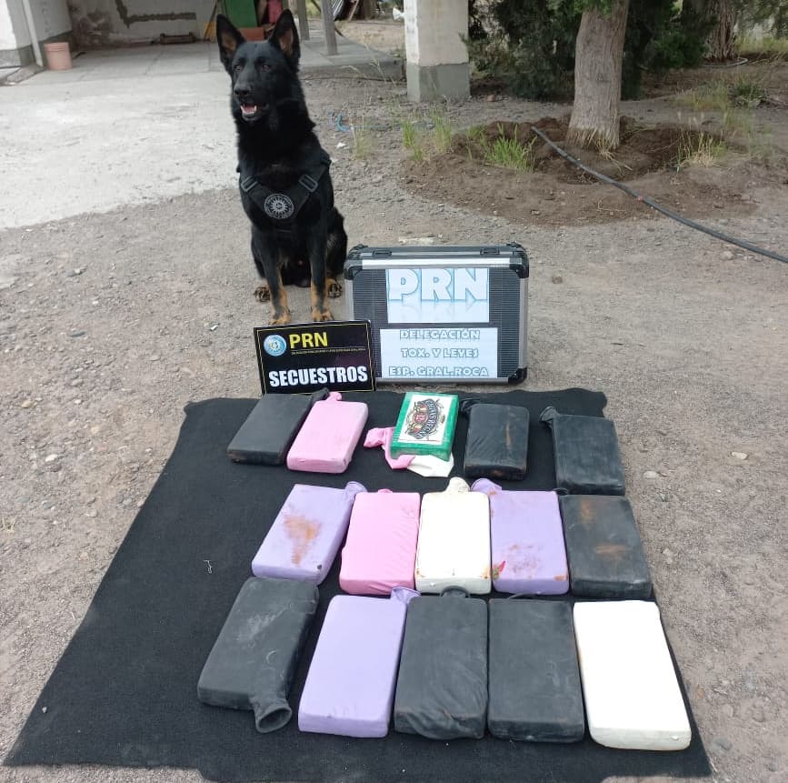 Toxicomanía secuestró más de 16 kilos de cocaína y detuvo a varias personas