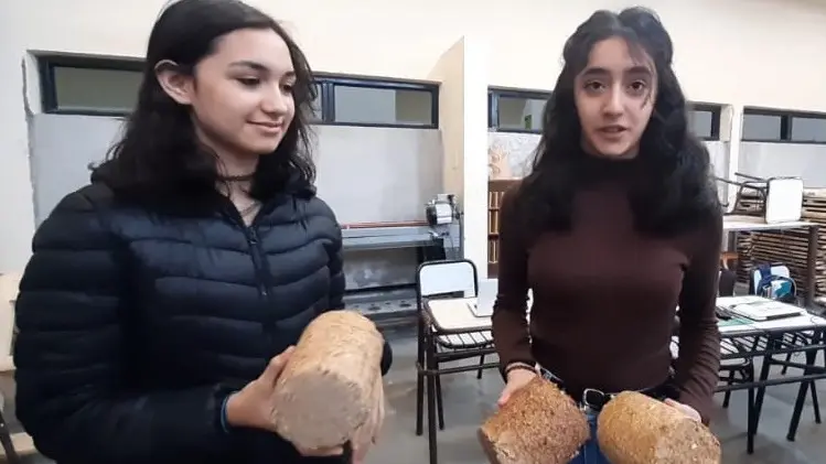 Son estudiantes y fabrican ladrillos de madera para calefaccionar hogares