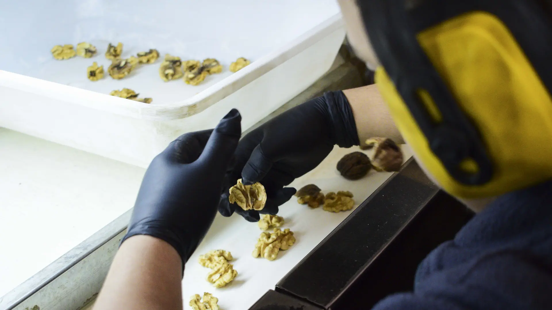 La producción de frutos secos crece de forma permanente en Valle Inferior