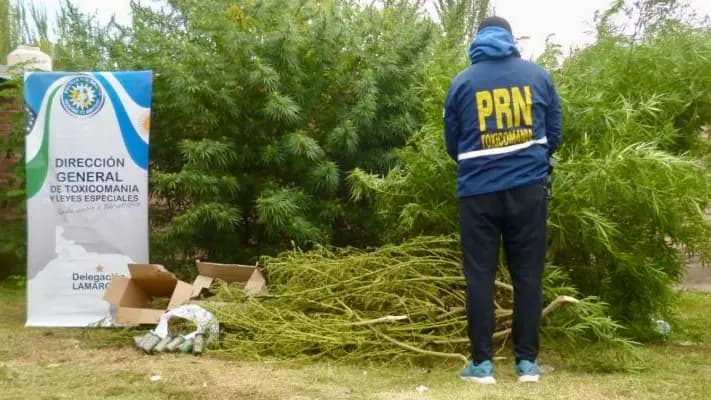 Detienen a seis persona y le secuestran cocaína y marihuana