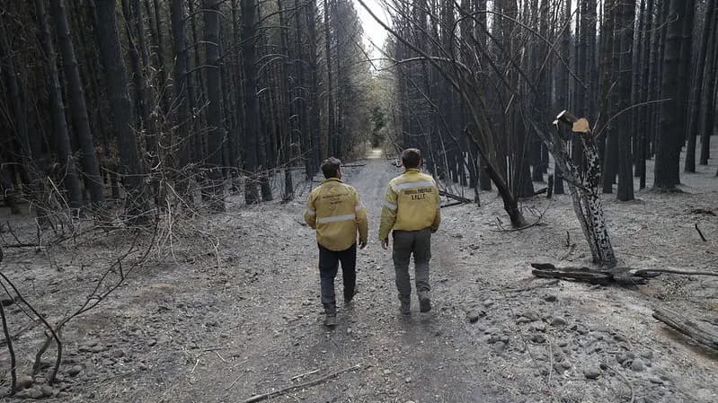 El incendio en El Bolsón está extinguido, lo confirmó el SPLIF