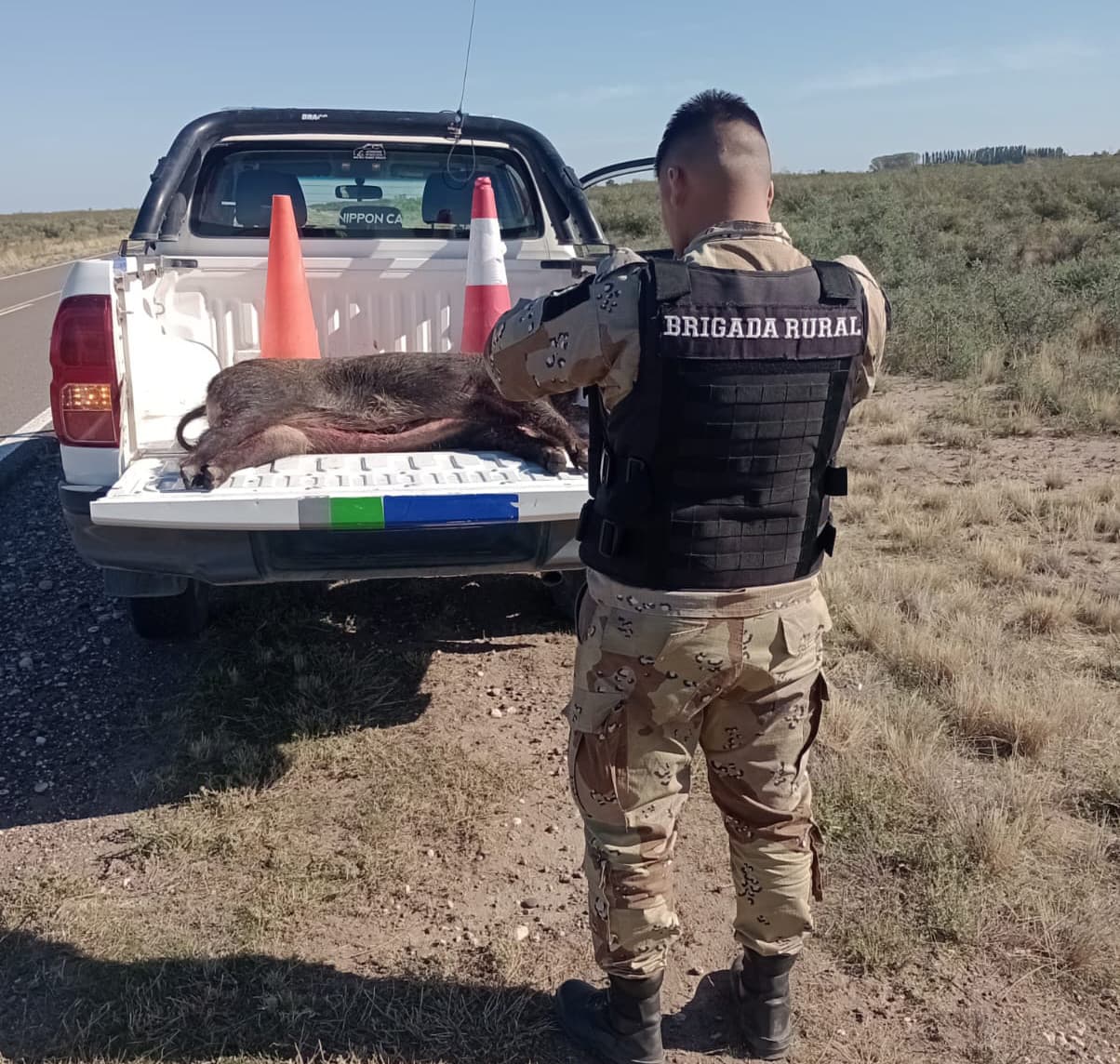 Se intensifican los controles rurales para combatir el abigeato en Rio Negro