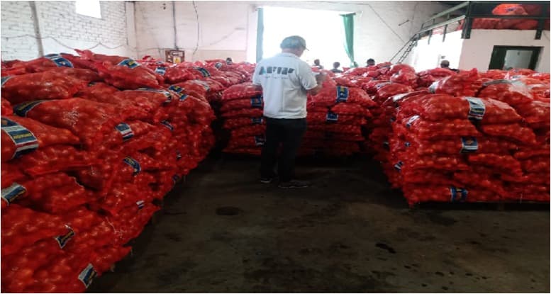 La AFIP desbarató maniobras fraudulentas en la producción y comercialización de cebolla en zonas productoras de Rio Negro