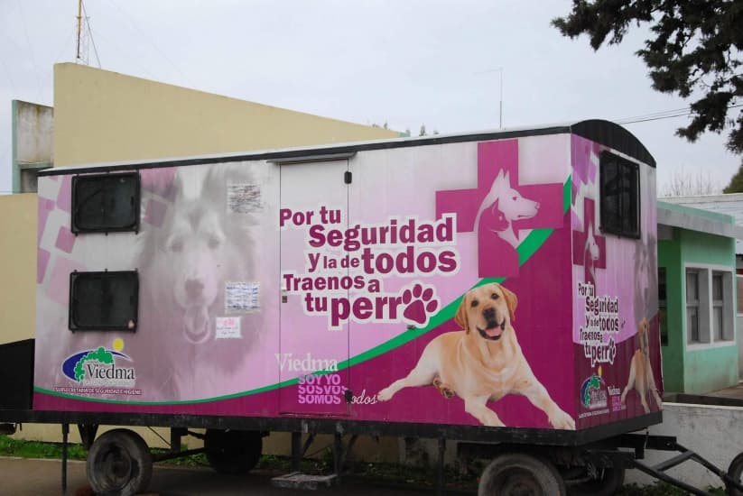 En el Quirófano Móvil atendieron a 1.225 perros manera gratuita