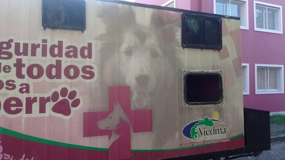 El servicio de esterilización gratuita que brinda el municipio está suspendido por destrucción del Quirófano Móvil