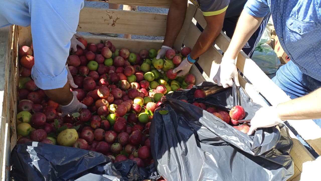 Dos toneladas de alimentos frescos entregó el municipio de Viedma a comedores y otras entidades
