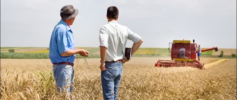 El segundo generador de empleo en el último año en la Argentina, fue el agro