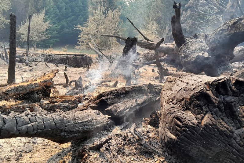 El fuego consumió unas 3500 hectáreas en el parque Nacional Lanín