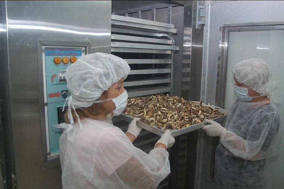 En lo que va del año se destinaron más de $ 5.000.000 para financiar agregado de valor a la producción