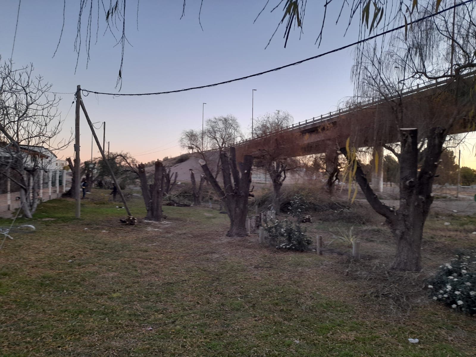 El municipio aplica multas a los vecinos que no respeten las normas de forestación