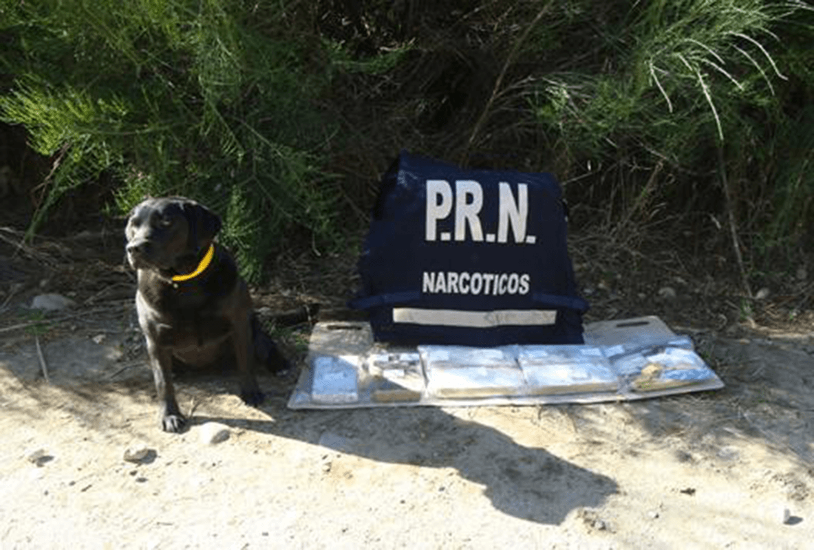 Otros 5 kilos de marihuana fueron secuestrados por la policía y ya son 23