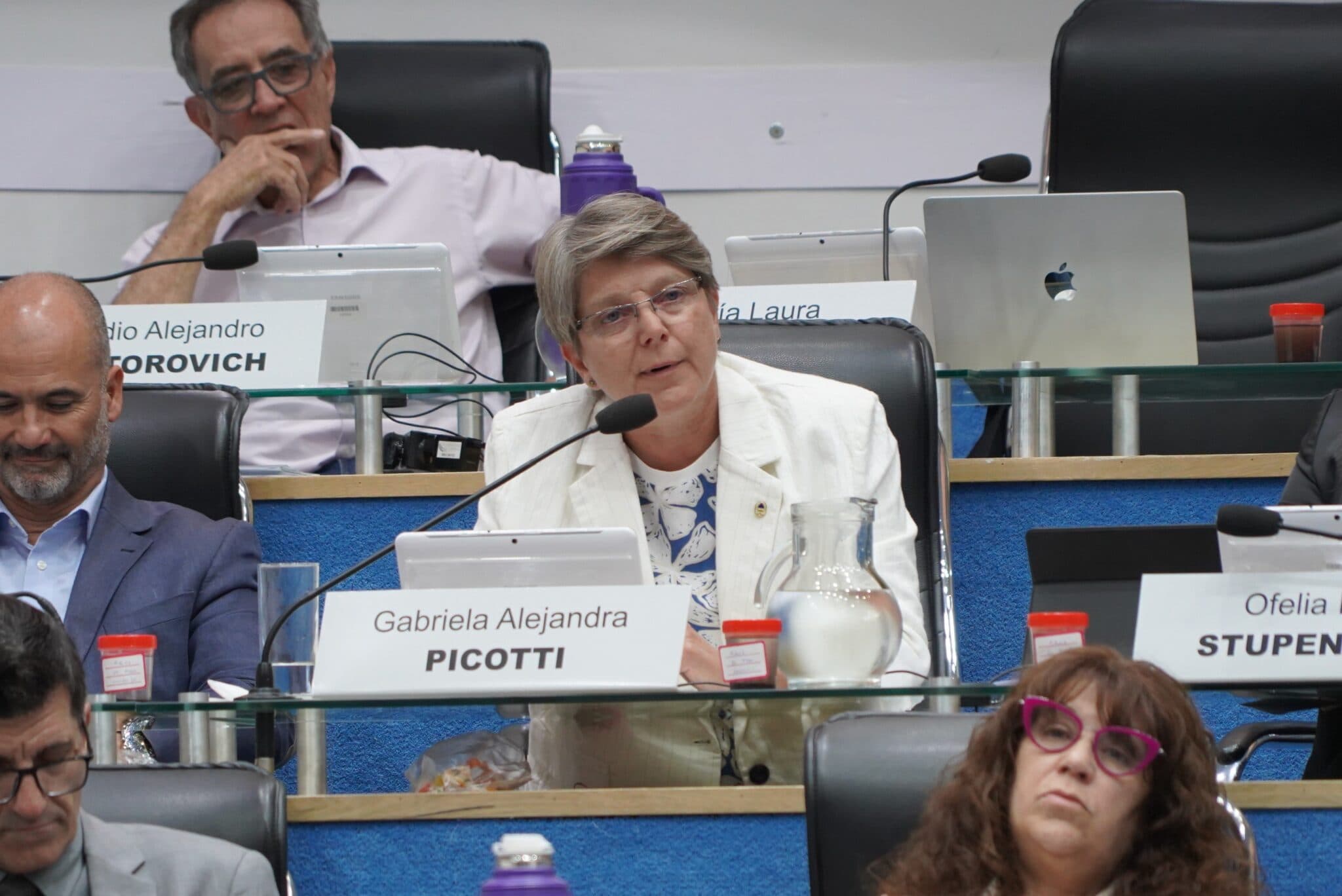 Picotti dejó el bloque PRO Unión Republicana de la Legislatura