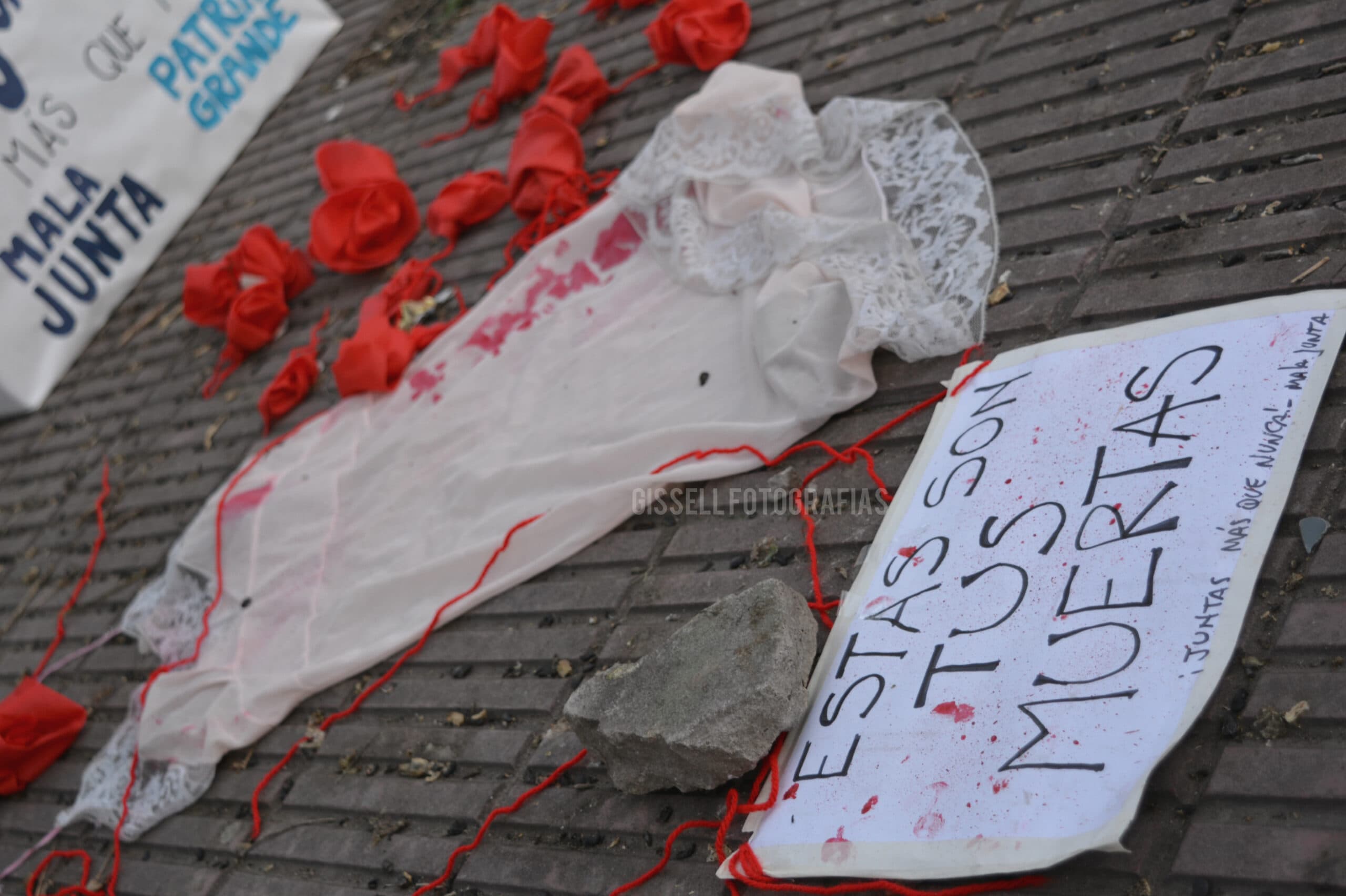 Viedma se movilizó para que no sigan asesinando a las mujeres #NiUnaMenos