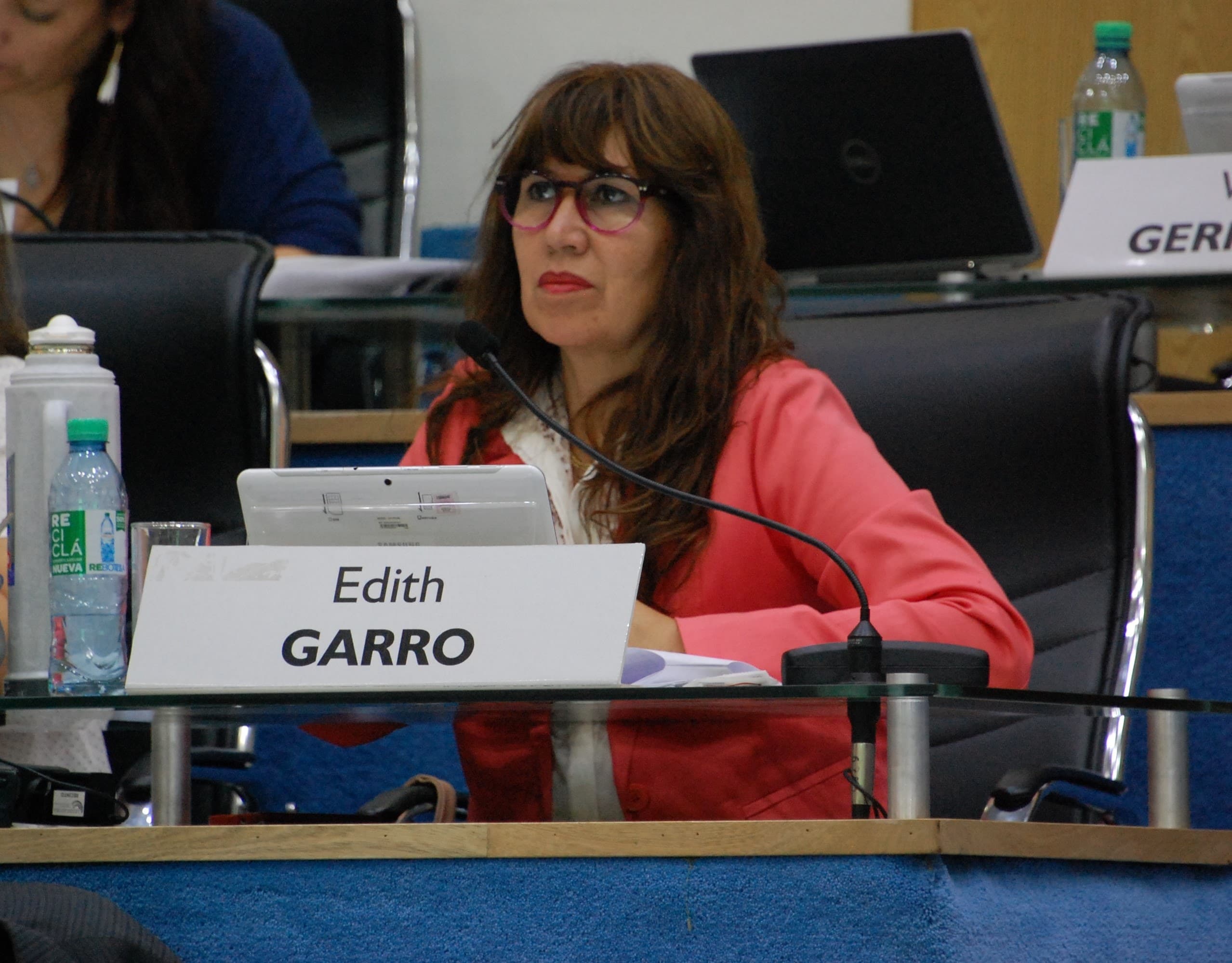 La legisladora Garro trató a Weretilneck de «incoherente y oportunista»