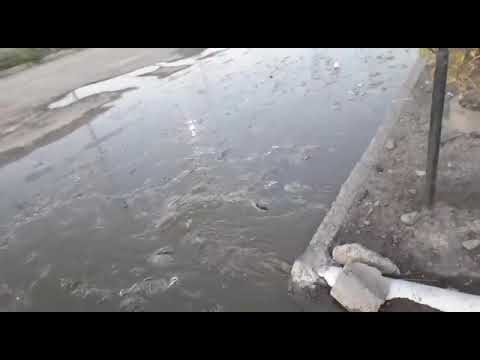Parte del barrio Castello inundado de agua cloacal