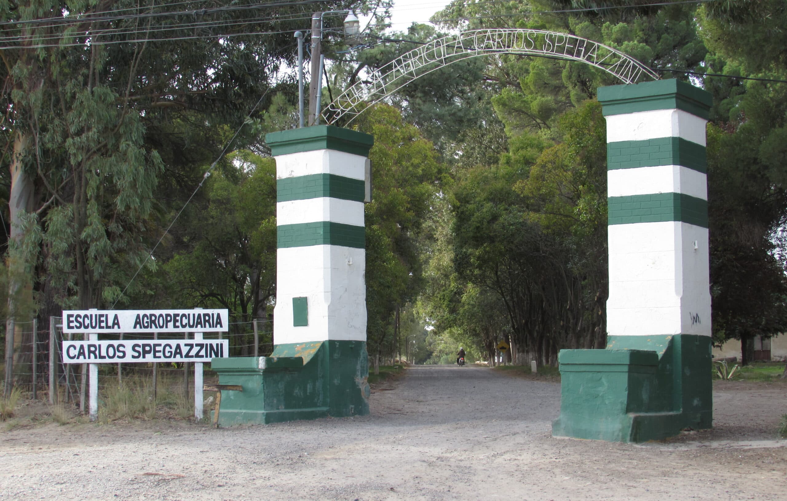 «No se llegó a ningún acuerdo» por los terrenos de la Escuela Zpegazzini con el municipio de Patagones