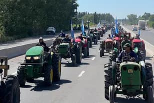 Productores piden un precio de fruta de industria de $ 60 por kilo y afirman que desaparece un productor cada 4 días por la crisis
