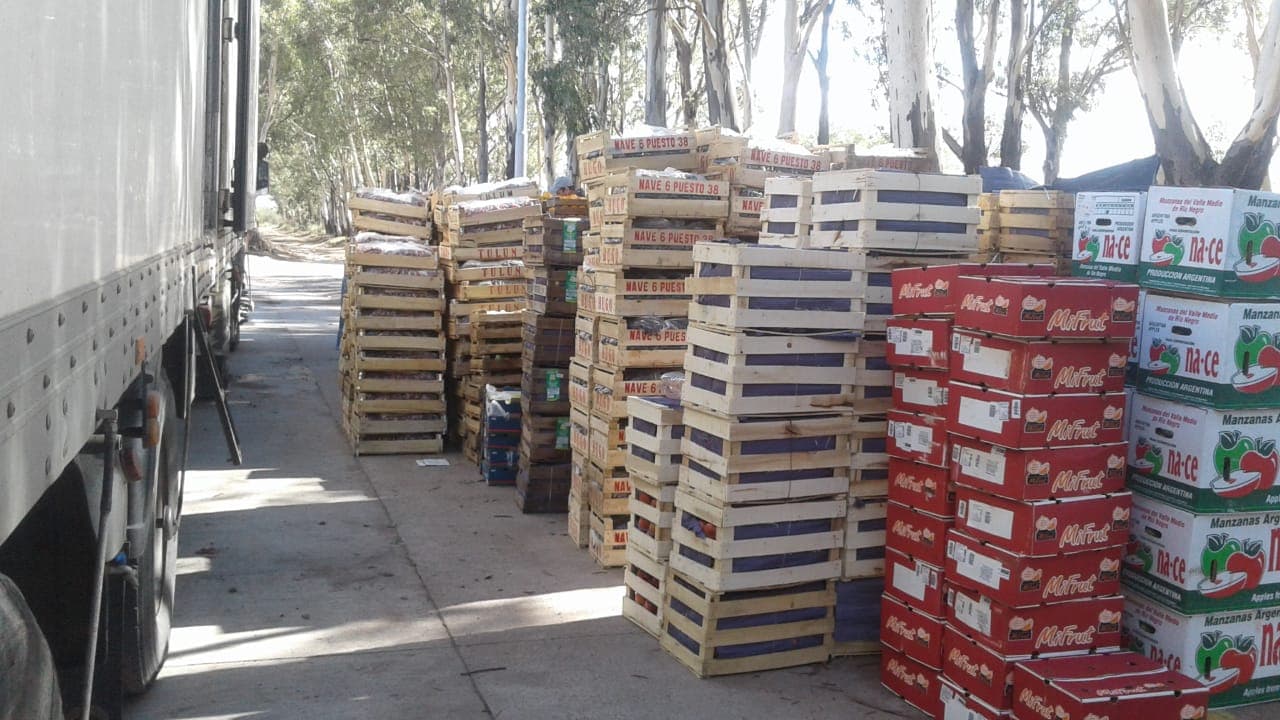 Trabajadora de la fruta se cayó en bicicleta y cobrará indemnización