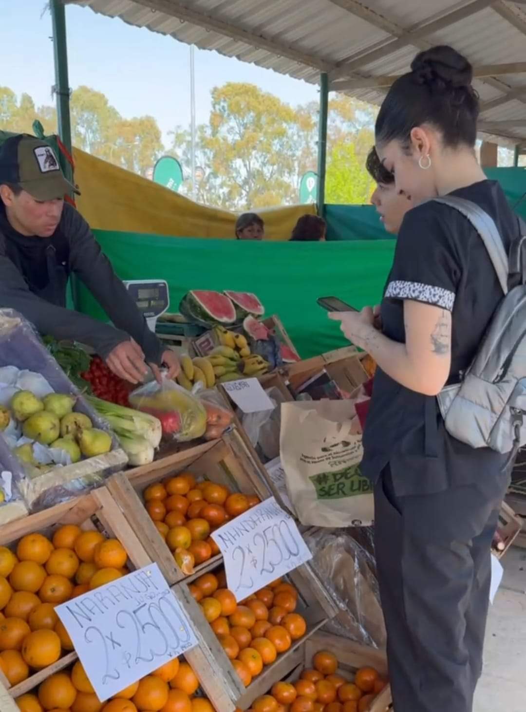 En la feria municipal de Viedma se promociona el uso de bolsas de tela