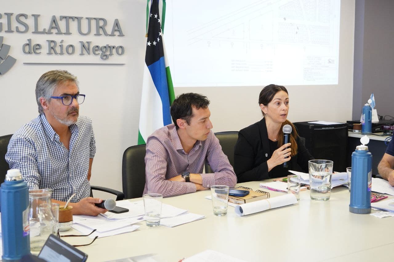 Se avaló en comisiones de la Legislatura para realizar la adjudicación y venta de un loteo del IDEVI en Viedma