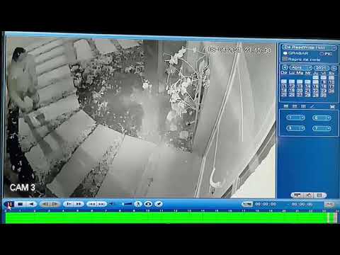 Lo detuvieron cuando intentó ingresar a robar a una vivienda a patadas y quedó registrado por las cámaras
