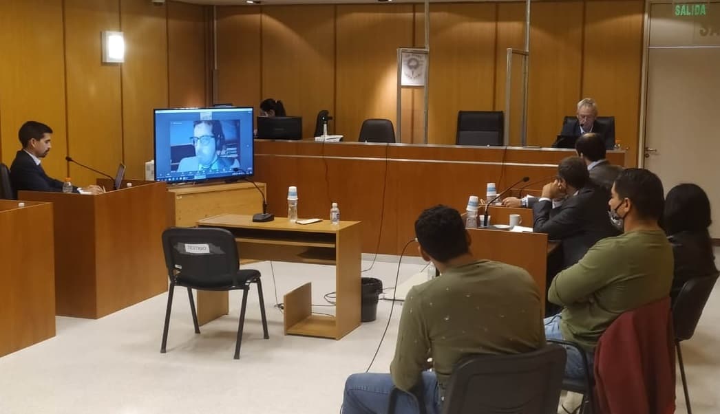 Por cazar guanacos podrían tener una condena de 2 a 4 años de prisión