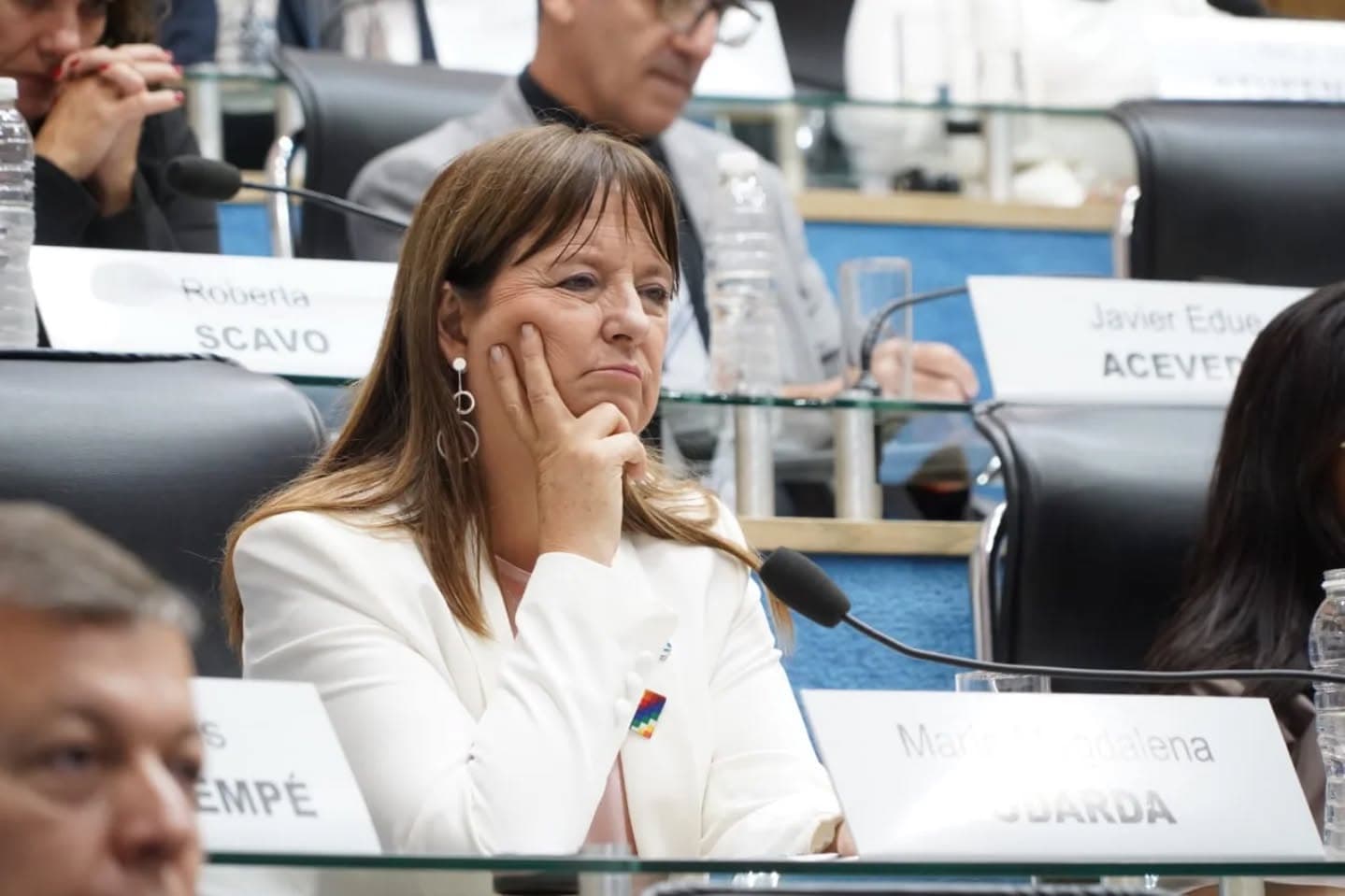 Odarda pide informes a nivel nacional por la presencia de capitales y autoridades de Emiratos Árabes Unidos en zonas estratégicas de la provincia de Río Negro