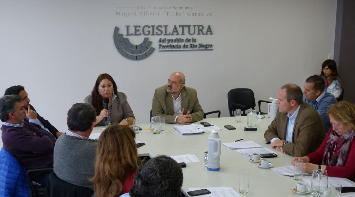 “Sería una gran irresponsabilidad aprobar la creación de una Comisión por la muerte de Lucas Muñoz”