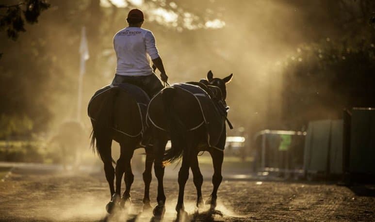 Un encargado de campo y petisero será indemnizado luego de ser despido injustificadamente