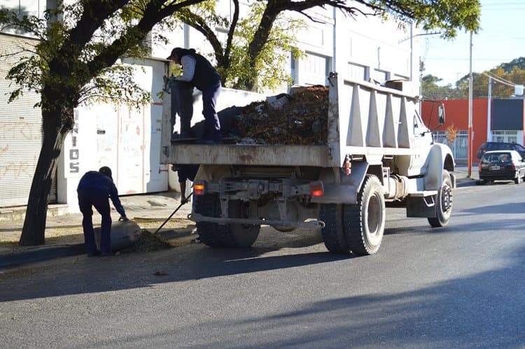 Este jueves y viernes se verá afectado el servicio de recolección de residuos domiciliarios de Patagones