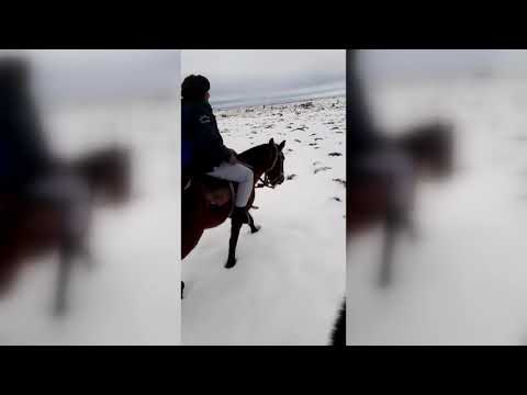 Despejan los caminos con nieve y asisten a pobladores