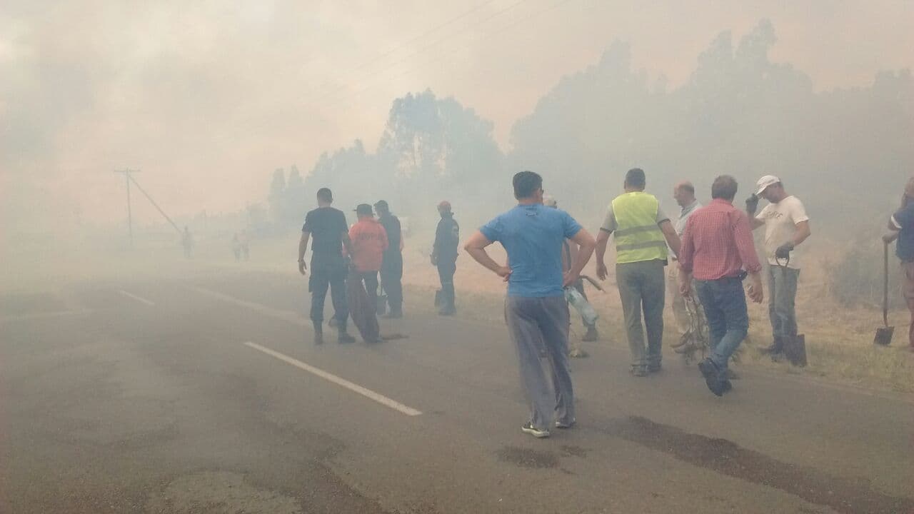 La tormenta eléctrica provocó los incendios en Viedma, Conesa, Guardia Mitre y Choele Choel