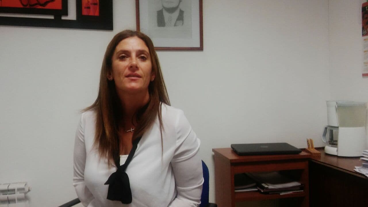 “El rechazo al Plan Castello es político, sino pareciera un capricho”