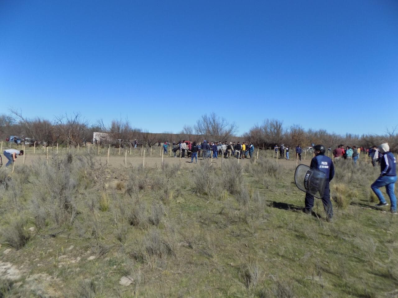 Por hacer carreras clandestinas de galgos imputaron a 24 personas