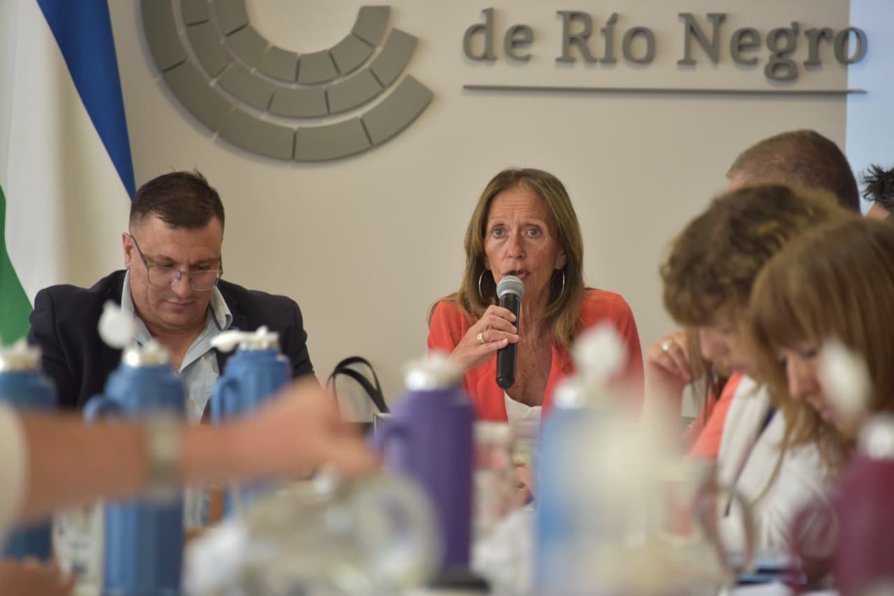 Hay acuerdo en la Legislatura para tratar la reforma al Código Procesal de Familia