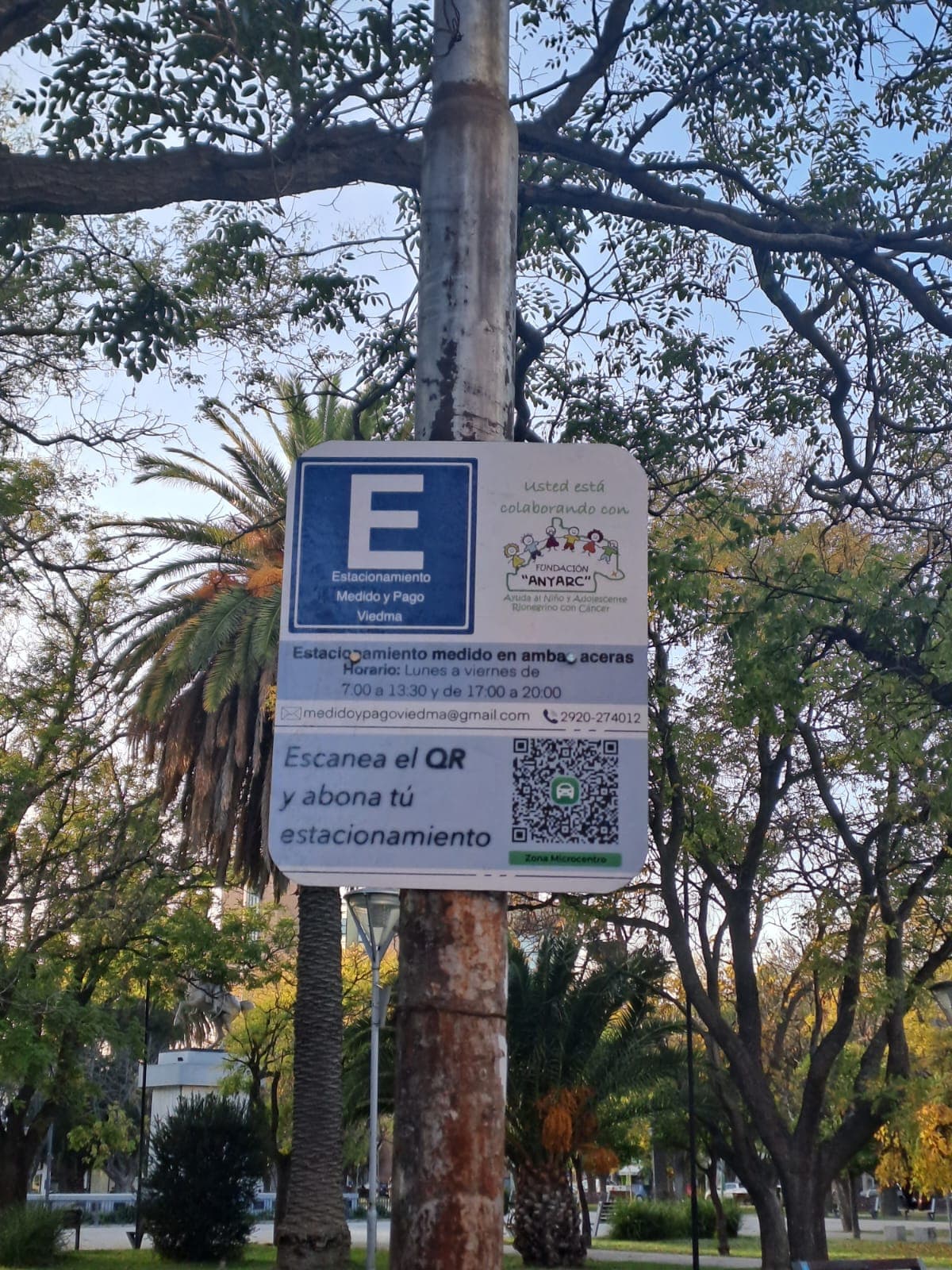 Los concejales de Viedma autorizan al Intendente fijar las tarifas de estacionamiento