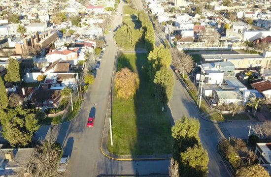 «Pesatti pidió retirar los espacios verdes del proyecto de enajenación de tierras ociosas»