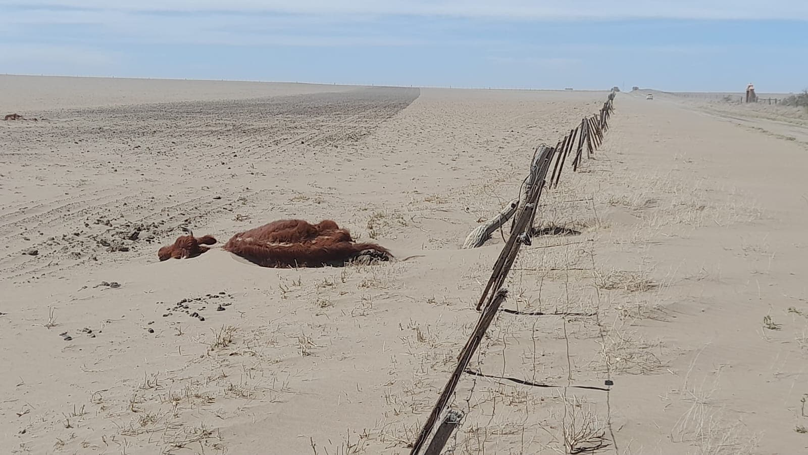 Se declaró la emergencia y/o desastre agropecuario para todas las explotaciones agropecuarias del partido de Patagones