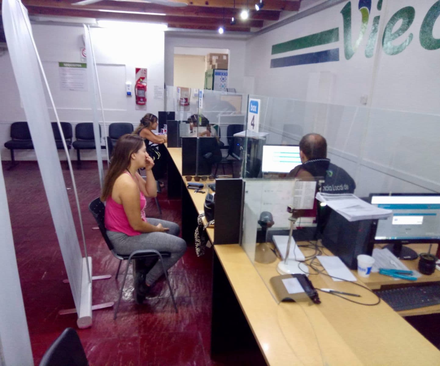 En marzo se entregarán las licencias de conducir que se realizaron en febrero en el municipio de Viedma
