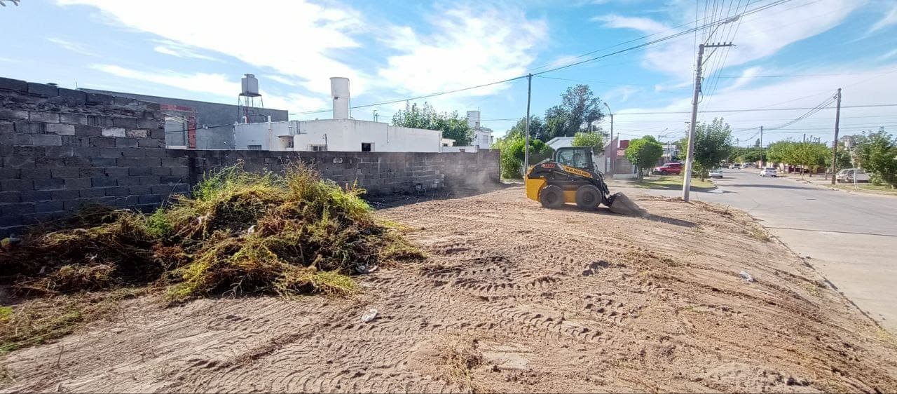 La municiplaidad de Viedma limpia terrenos baldíos los y propietarios tiene 10 días de plazo para proceder a la limpieza del mismo