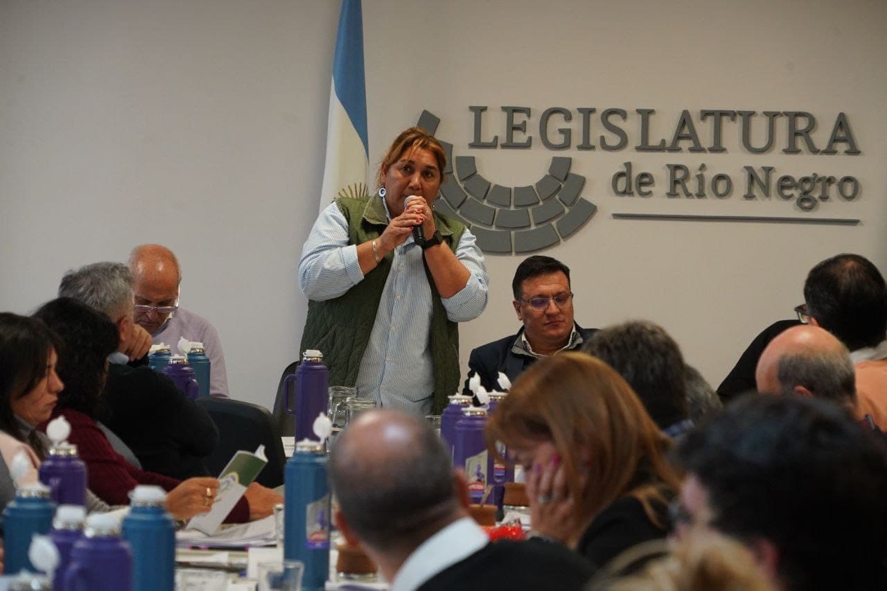 Se aprobó por mayoría el proyecto enviado a la Legislatura para que San Javier se transforme en municipio