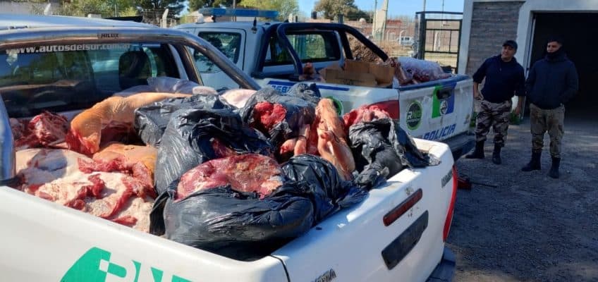 La policía secuestra más de 1.600 kilos de carne decomisados en comercios de San Javier